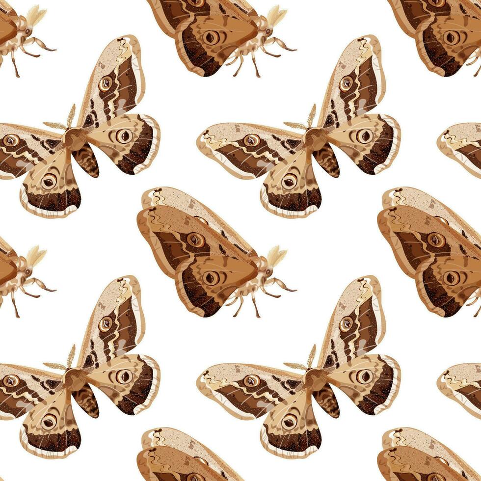 Seamless pattern with brown polyphemus moth. Nocturnal tropical butterfly. vector