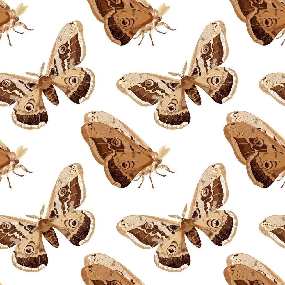 Seamless pattern with brown polyphemus moth. Nocturnal tropical butterfly. vector