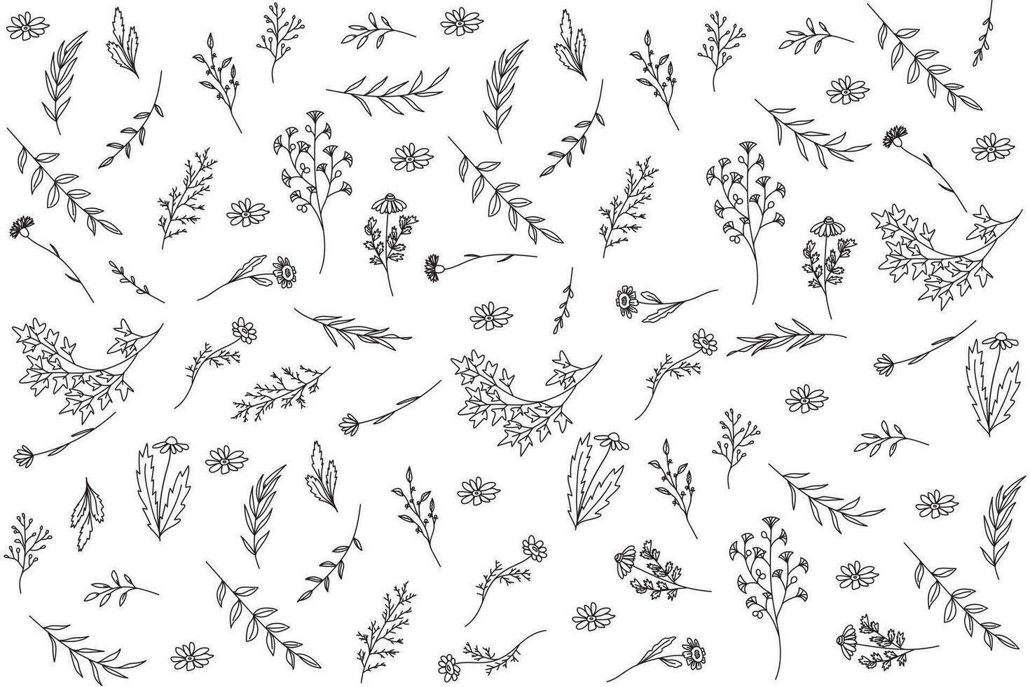 illustration line of flower and leaf pattern on white background. vector