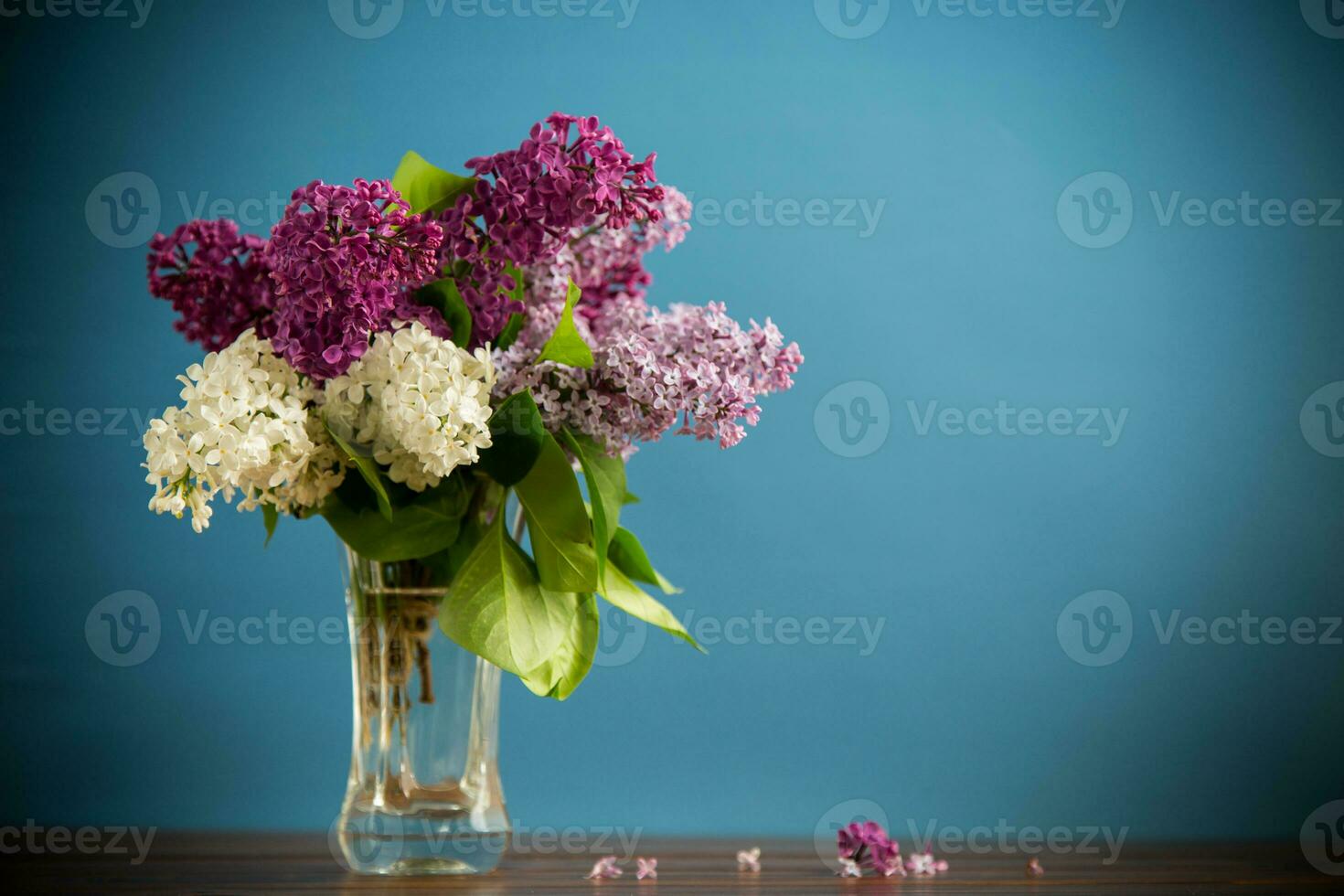 bouquet of different blooming spring lilacs in a vase on blue background photo