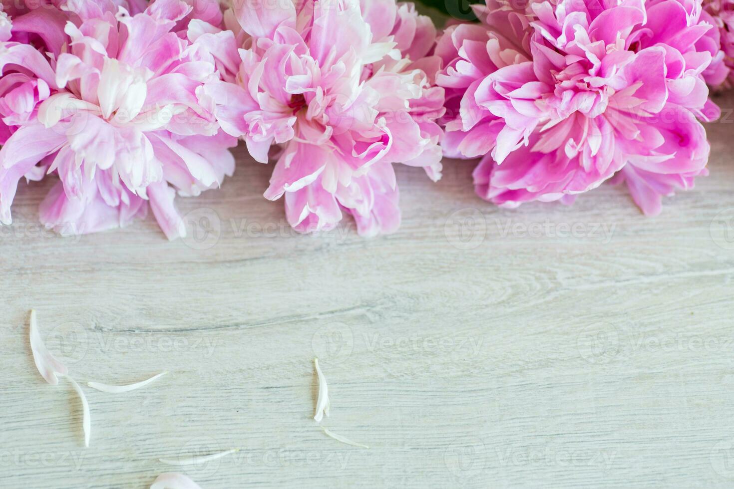 several branches of blooming pink peonies on a wooden table photo