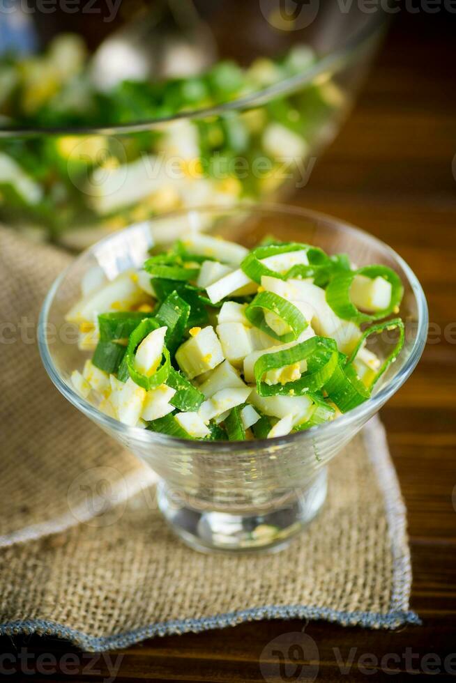 fresh spring salad with boiled squid, boiled eggs and green onions photo