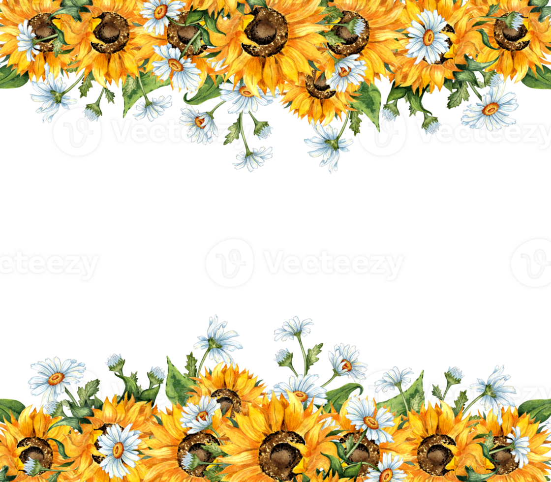 Watercolor illustration of a frame of yellow sunflowers and white daisies. Harvest Festival. Border from top to bottom isolated. Compositions for posters, cards, banners, flyers, covers, playbills png