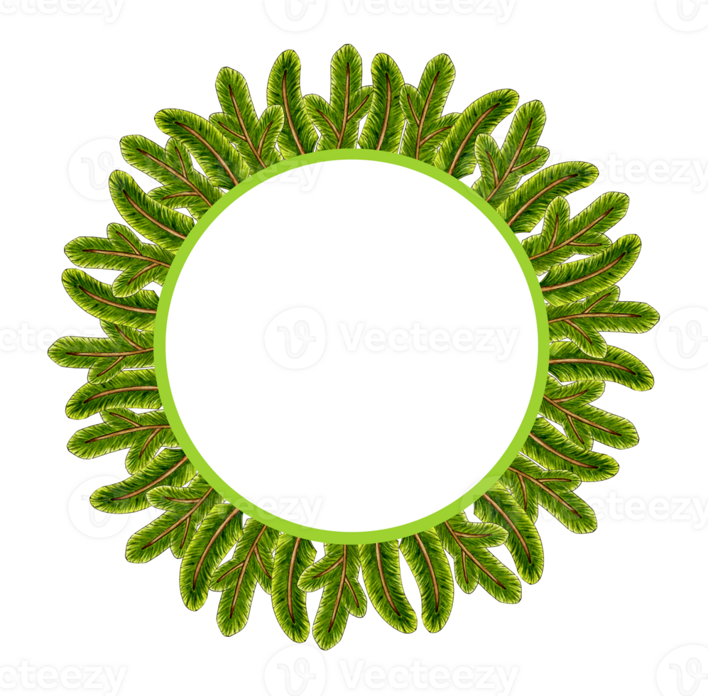 Watercolor illustration of a frame of a Christmas wreath made of green fir branches. Isolated. Colorful decorative element for cards, congratulations, invitations png