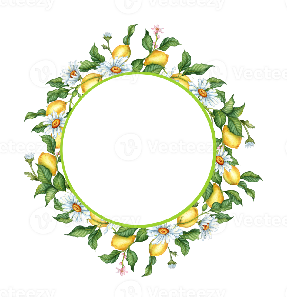 Watercolor illustration of a frame of ripe, yellow, juicy lemons, buds and daisies. Tropical wreath isolated on white background. Delicious food for design, print, fabric, background, posters, cards, png