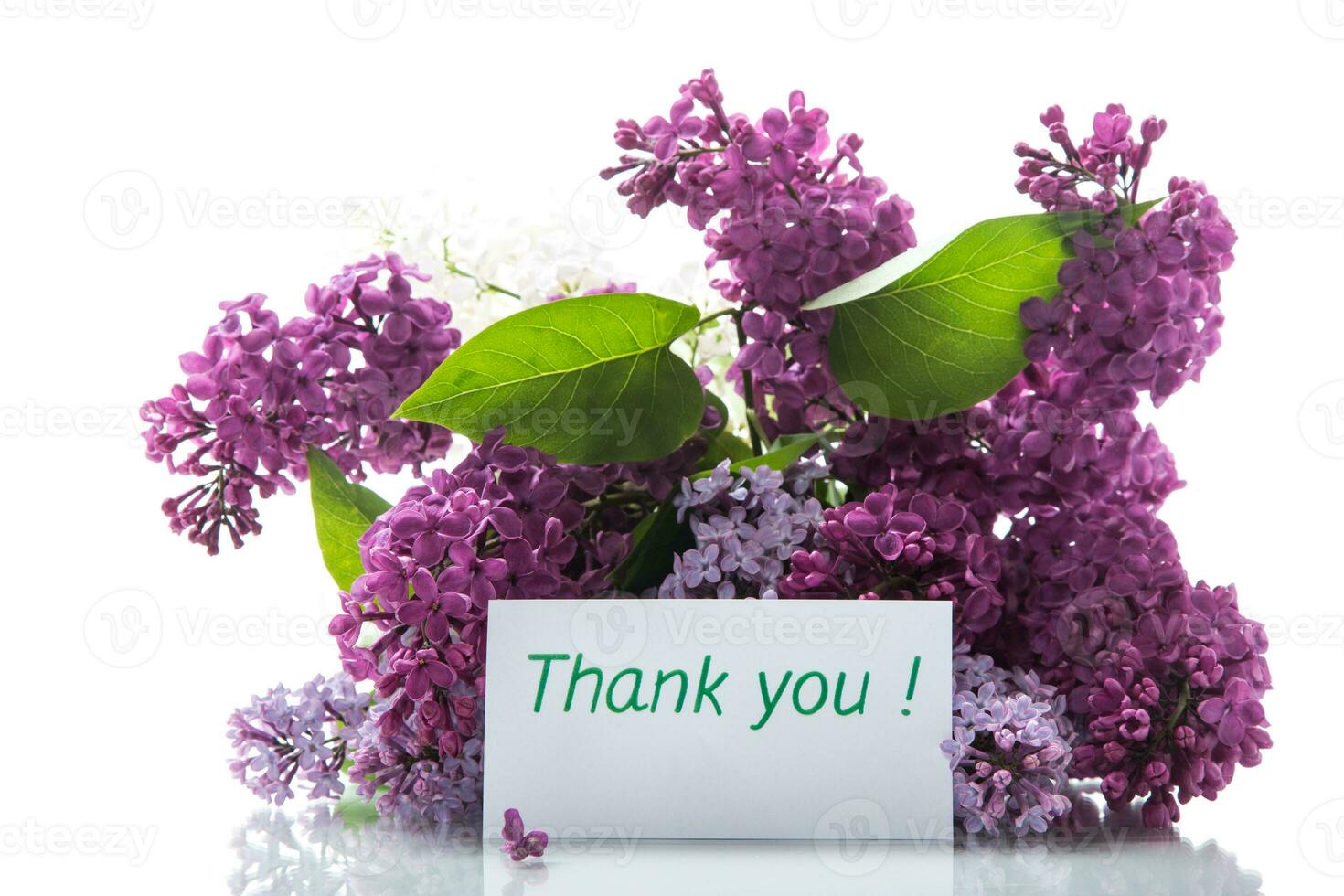 bouquet of different blooming spring lilacs on white background photo