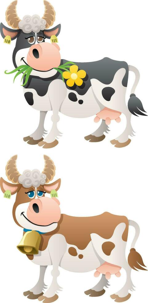 Cow on White vector