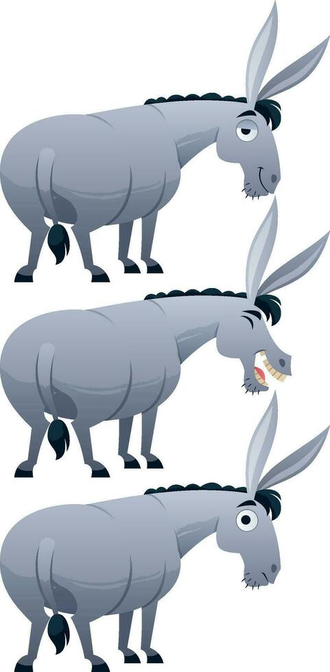 Donkey on White vector