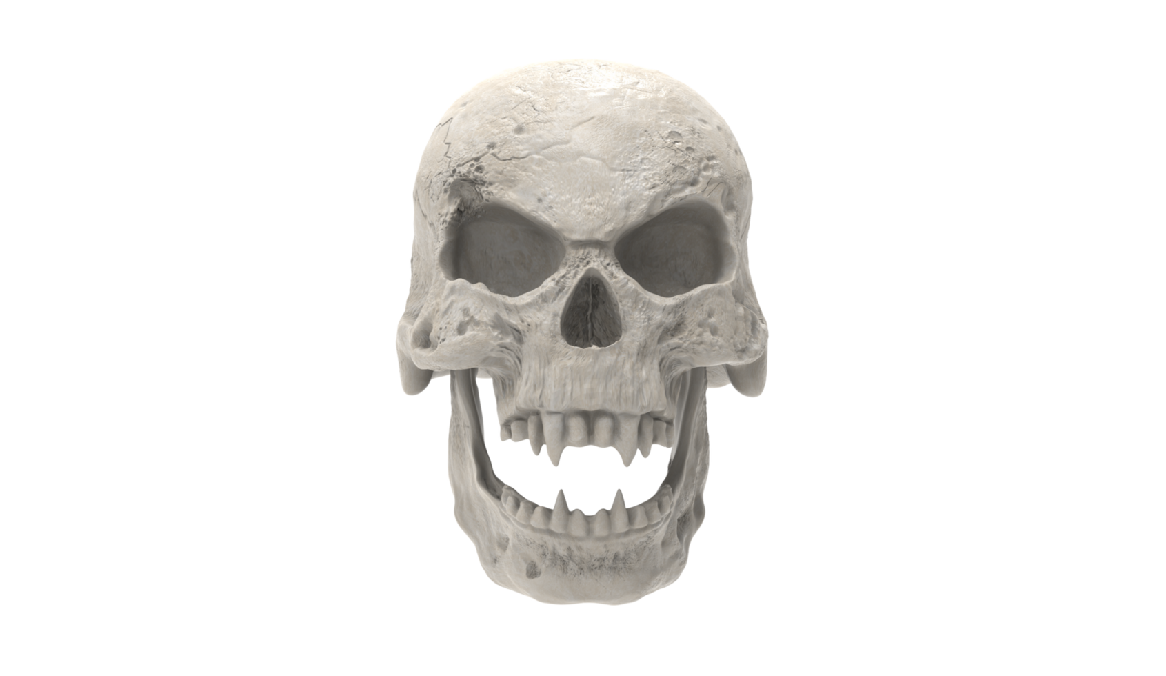 skull transparent backgorund png