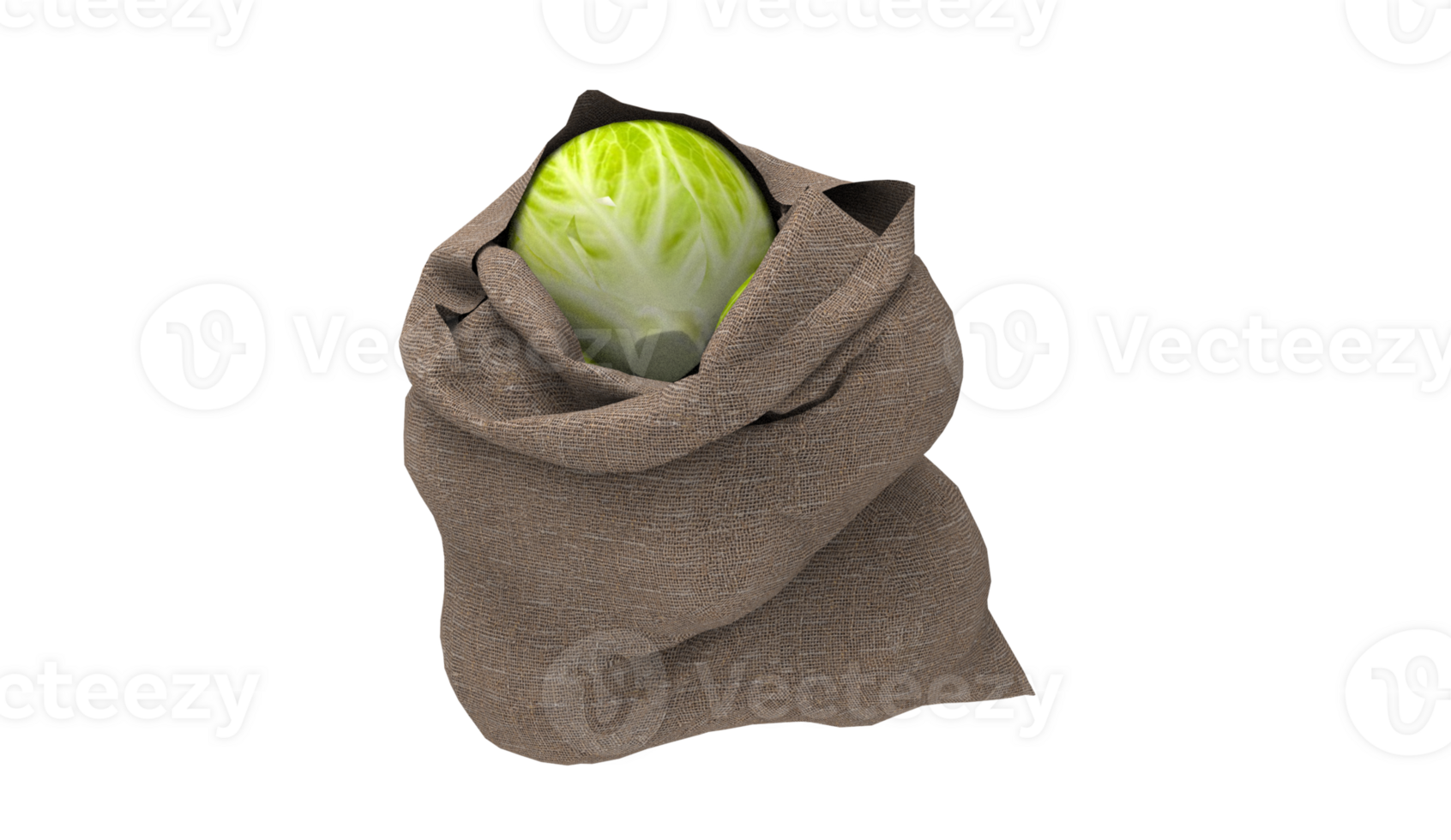 a cabbage wrapped in a sack on a white background png