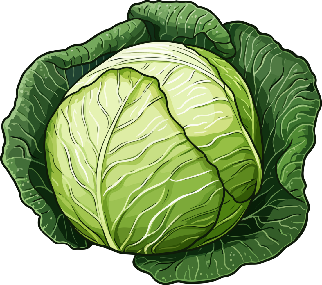 AI generated Cabbage clipart design illustration png