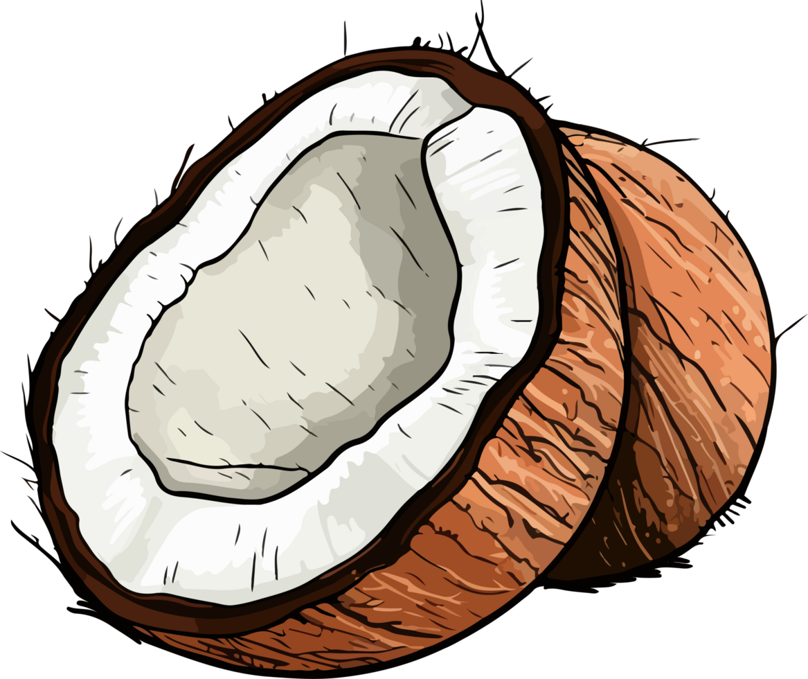 AI generated Coconut clipart design illustration png