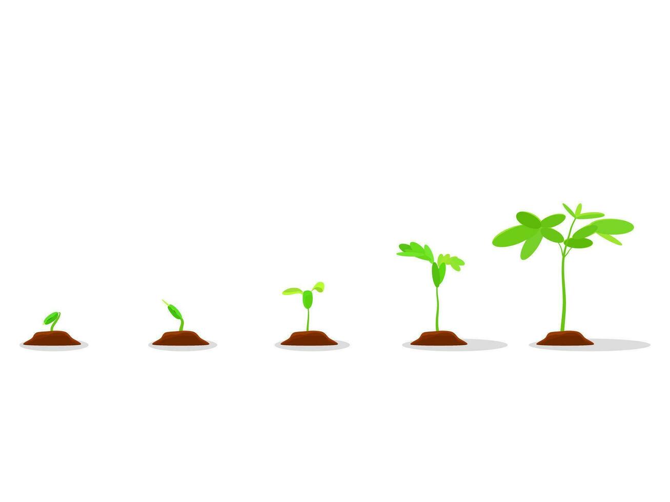 Vector Planting infographic graphics Garden plant seedlings Seeds germinate in the soil Isolated on a white background