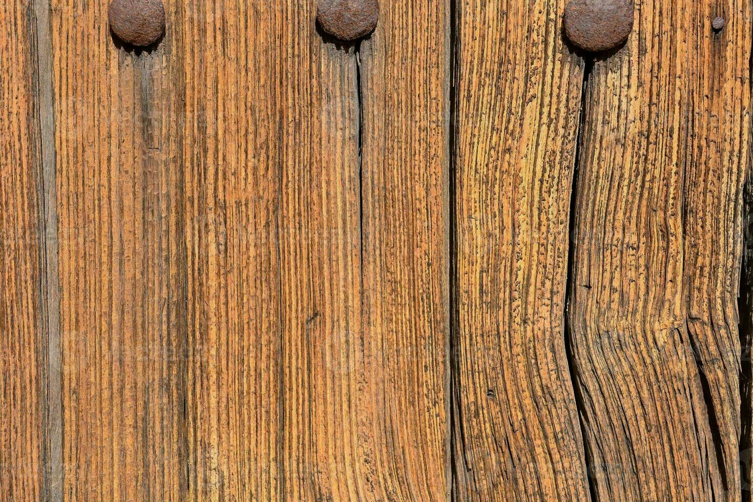 close up of a wooden door with rivets photo