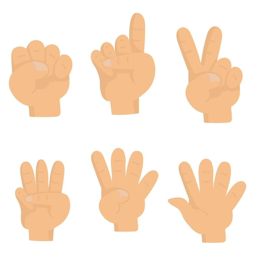 cartoon image of human hand. Count numbers. vector