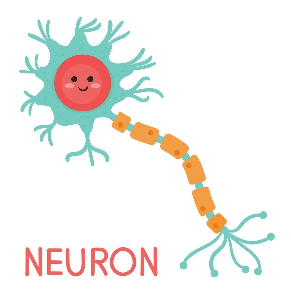 Illustration of Human Neuron Anatomy. Neuron cartoon vector