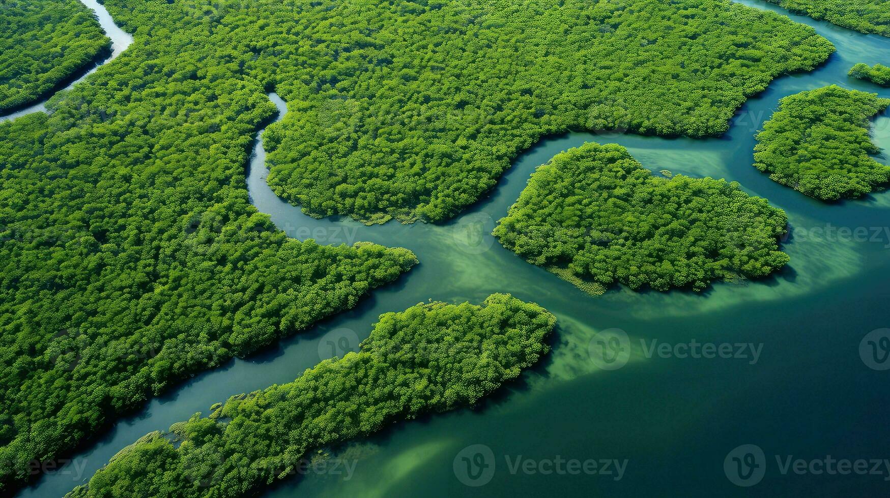 AI generated conservation mangrove forest landscape photo