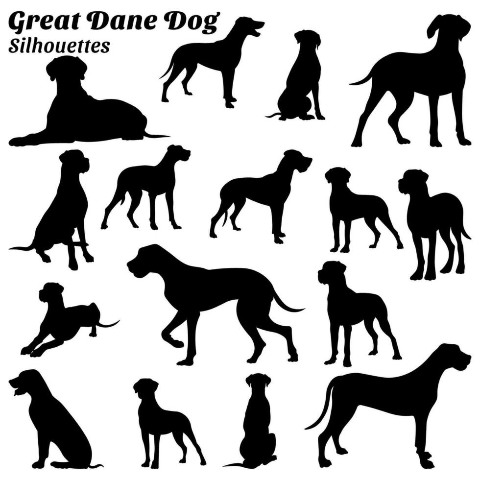 Collection of silhouette illustrations of great dane dog vector