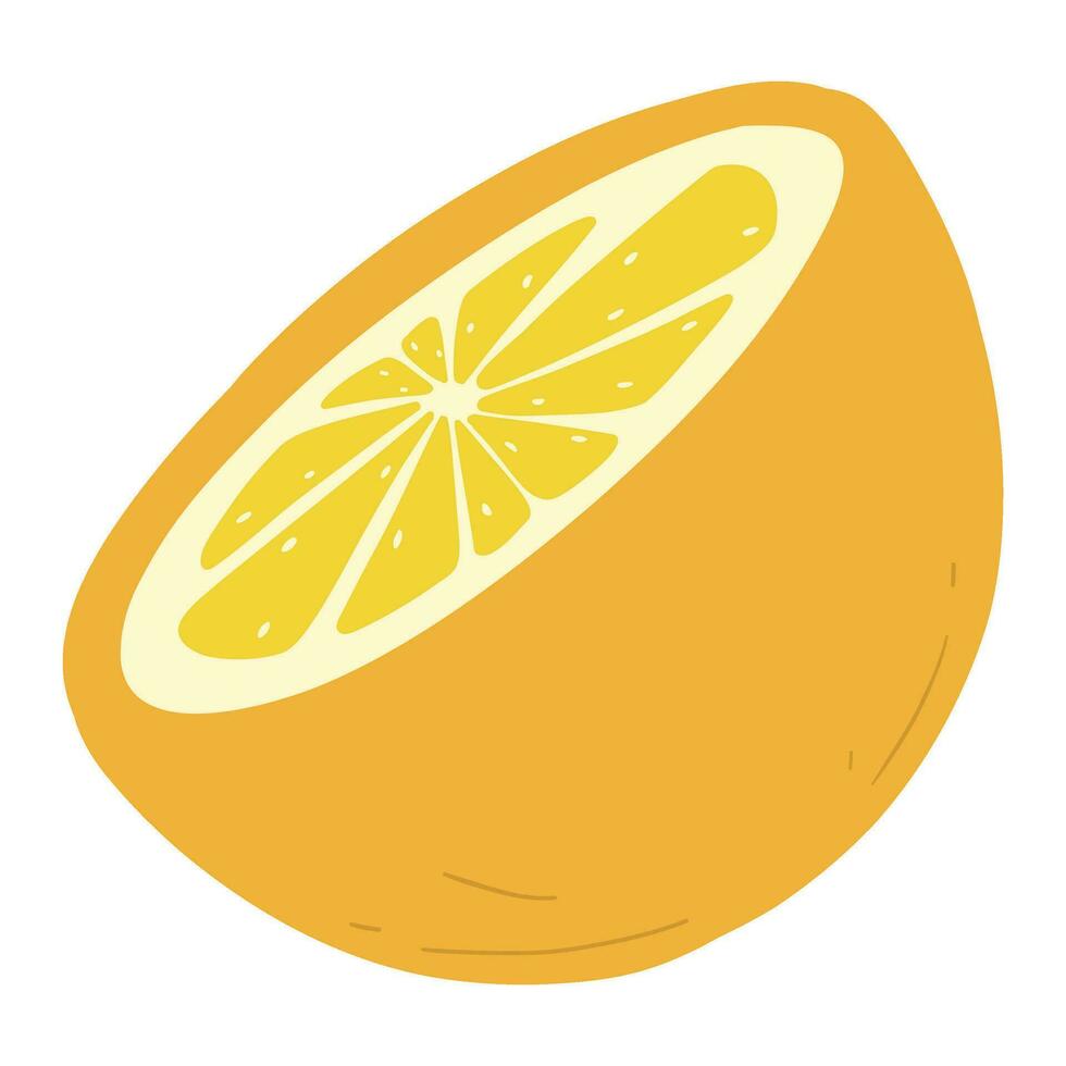 half of orange vector illustration