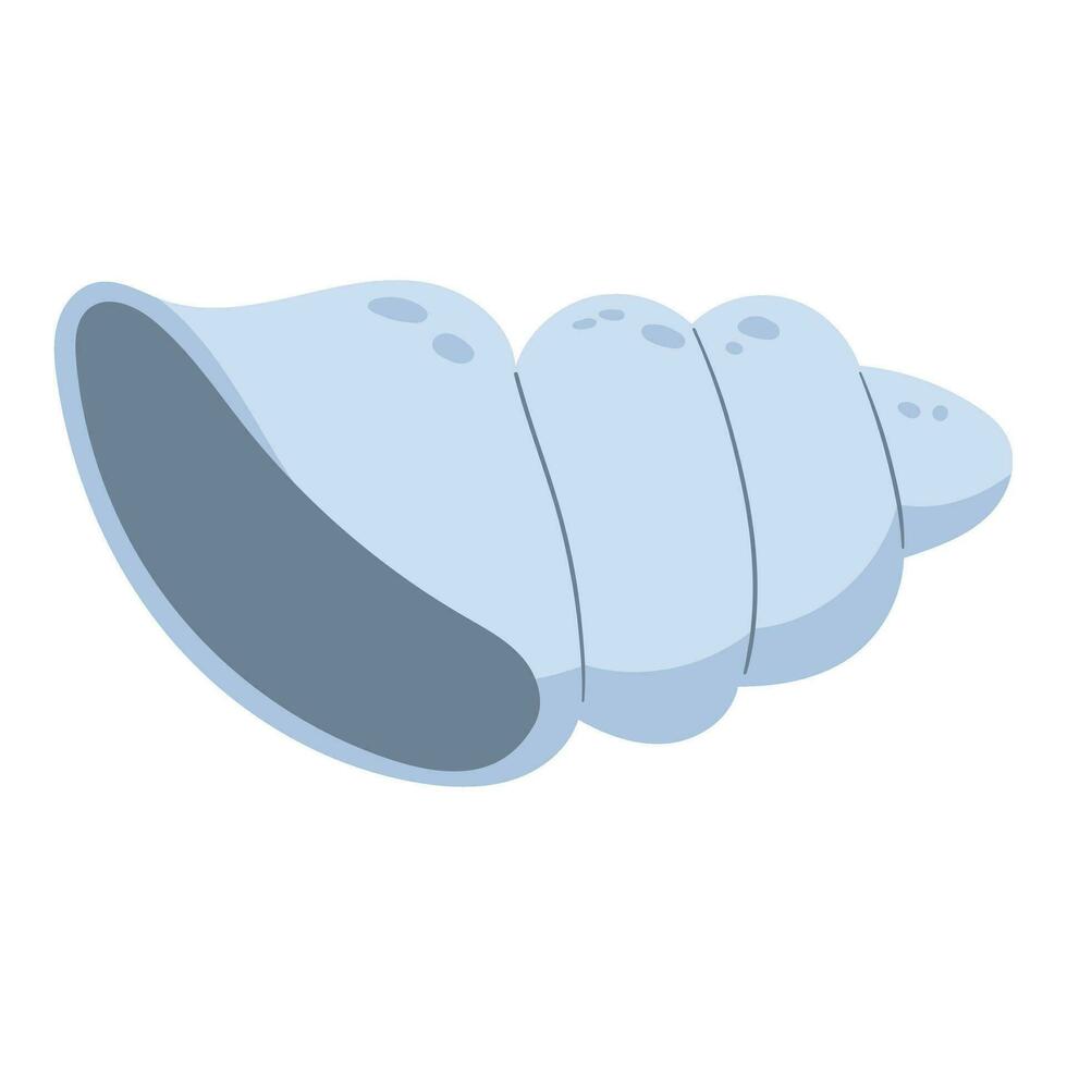 seashell vector illustration