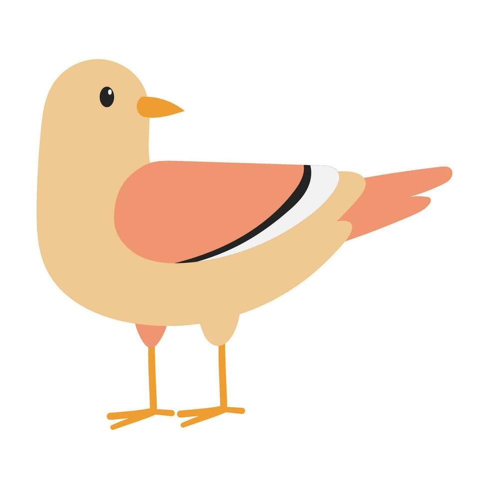 seagull bird illustration vector