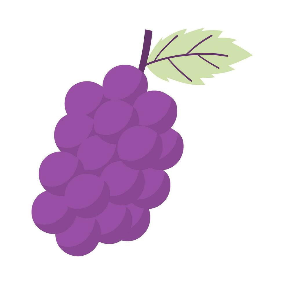 uvas Fruta ilustración vector