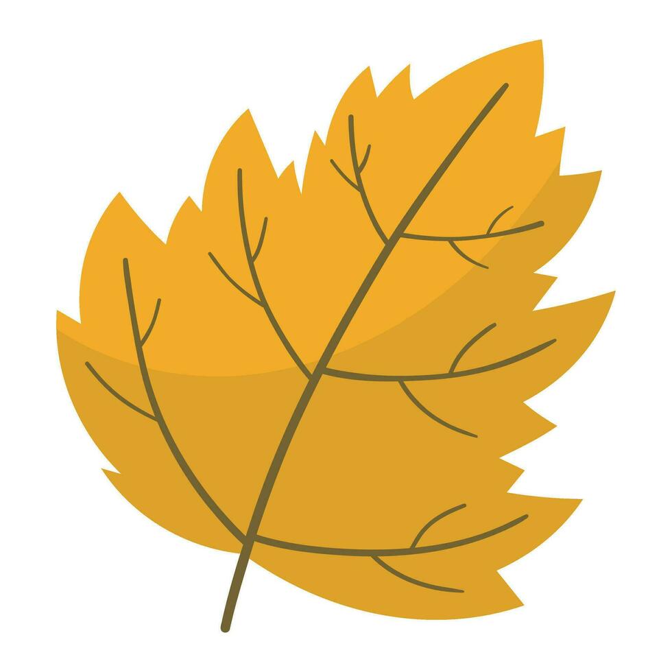 autumn leaf vector illustration