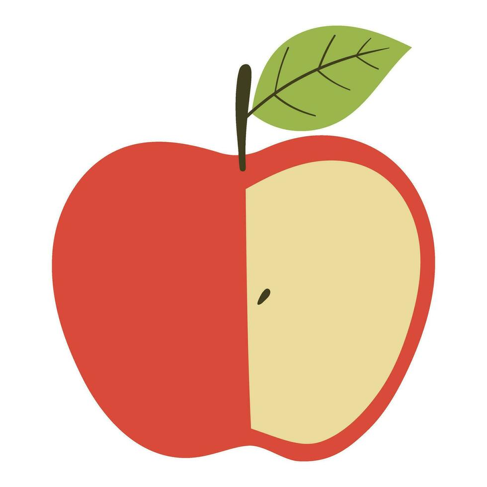 an apple fruit illustration vector