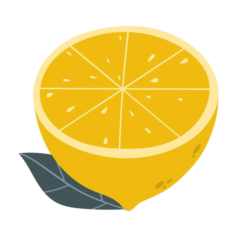 half of lemon vector fruit illustration