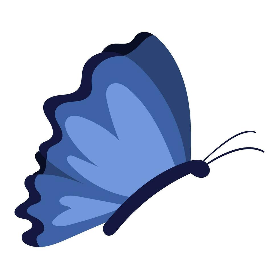 hermosa ilustración de mariposa vector