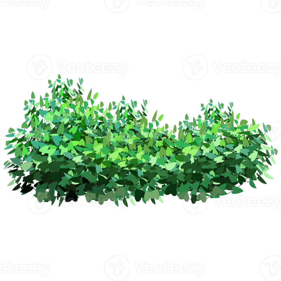 Green bush and tree for landscape and architecture drawing, elements for environment and garden,botanical elements for section in spring. png