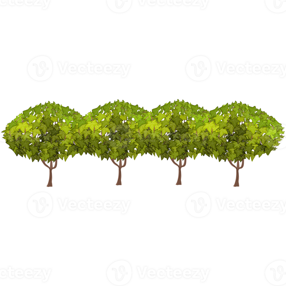 Green bush and tree for landscape and architecture drawing, elements for environment and garden,botanical elements for section in spring. png