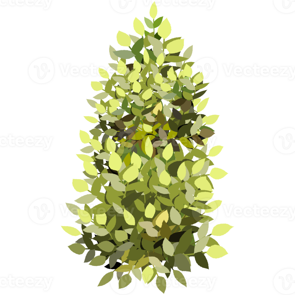 Green bush and tree for landscape and architecture drawing, elements for environment and garden,botanical elements for section in spring. png