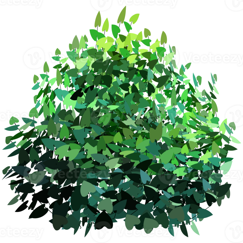 Green bush and tree for landscape and architecture drawing, elements for environment and garden,botanical elements for section in spring. png
