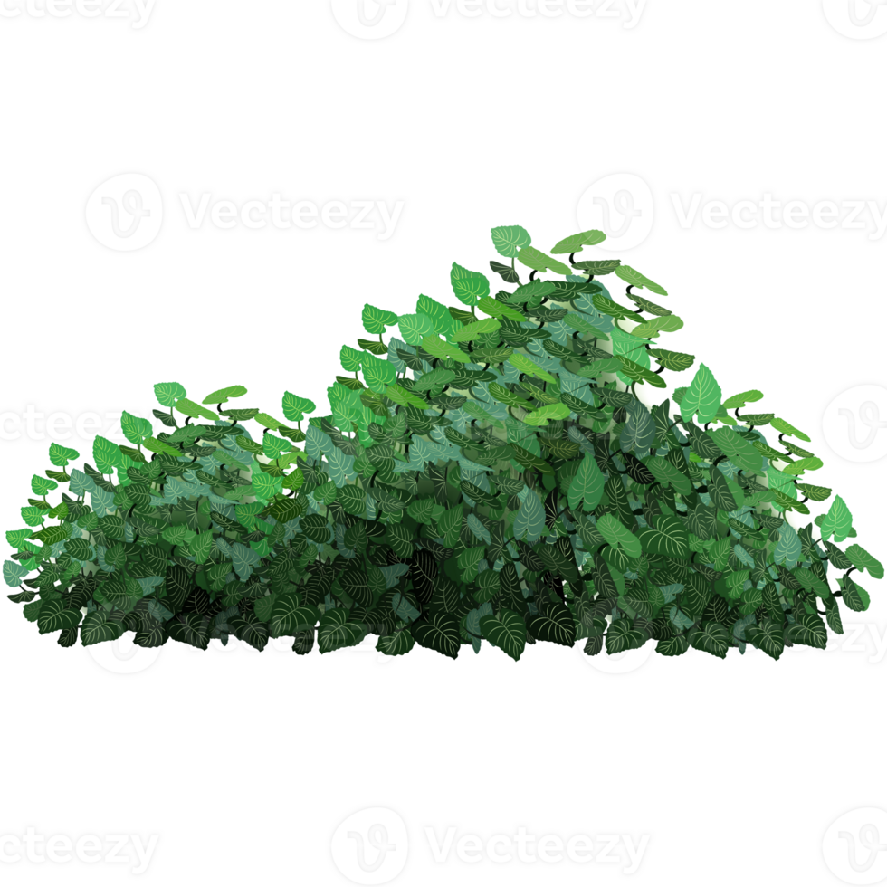 Green bush and tree for landscape and architecture drawing, elements for environment and garden,botanical elements for section in spring. png
