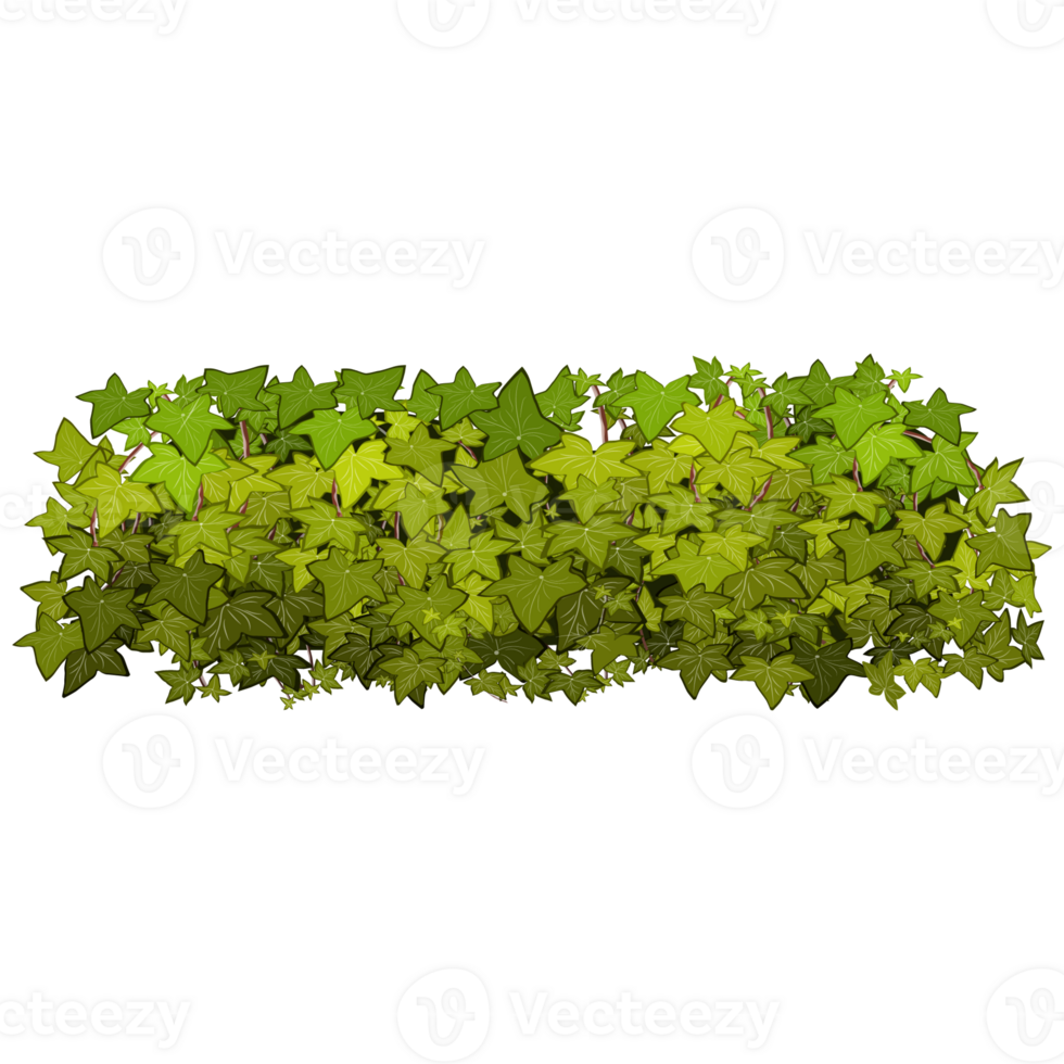 Green bush and tree for landscape and architecture drawing, elements for environment and garden,botanical elements for section in spring. png