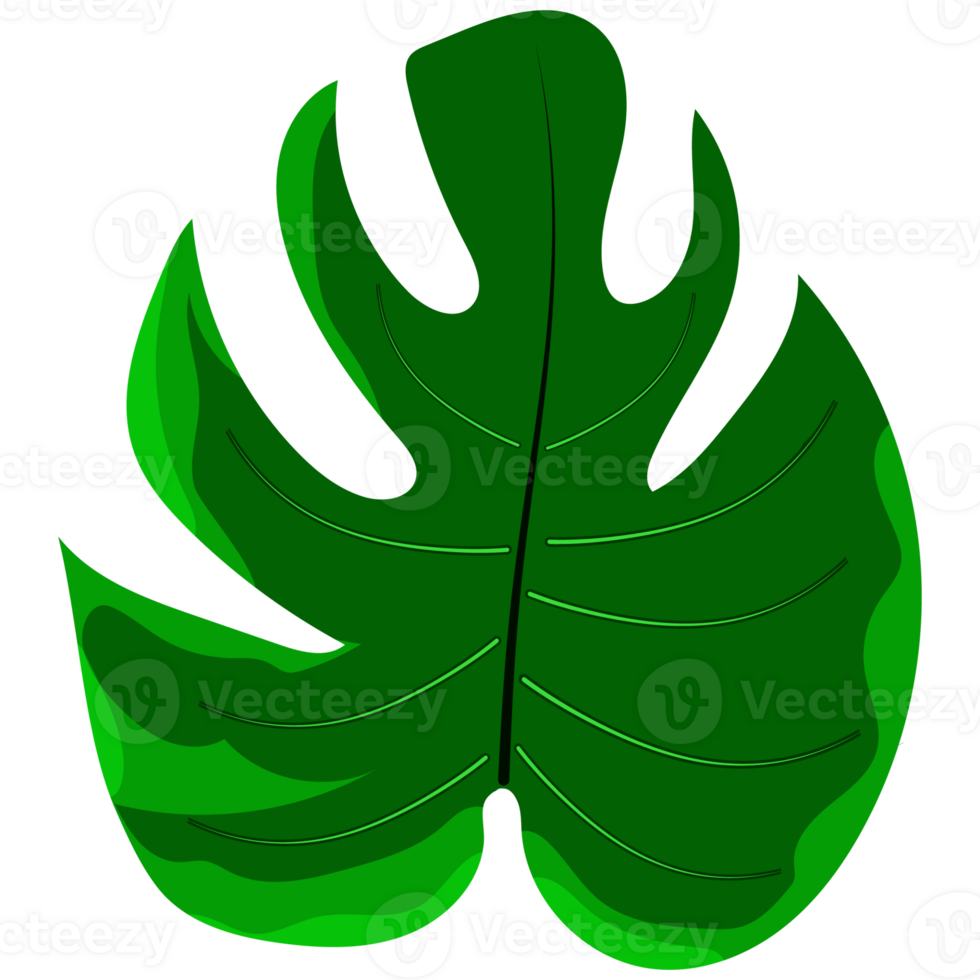 Green bush and tree for landscape and architecture drawing, elements for environment and garden,botanical elements for section in spring. png