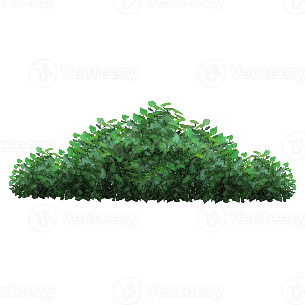 Green bush and tree for landscape and architecture drawing, elements for environment and garden,botanical elements for section in spring. png
