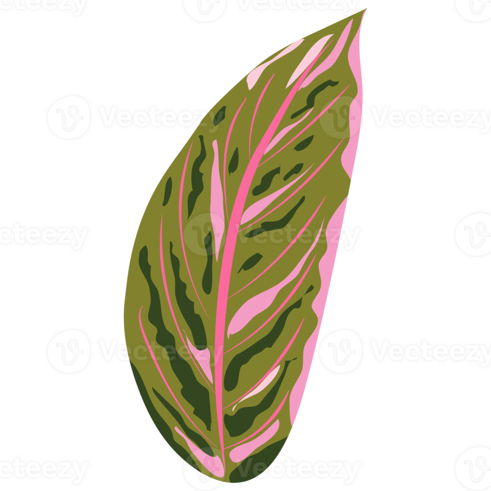 Green bush and tree for landscape and architecture drawing, elements for environment and garden,botanical elements for section in spring. png
