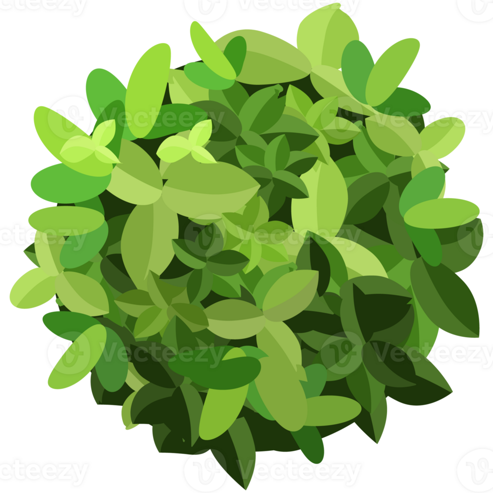 Green bush and tree for landscape and architecture drawing, elements for environment and garden,botanical elements for section in spring. png