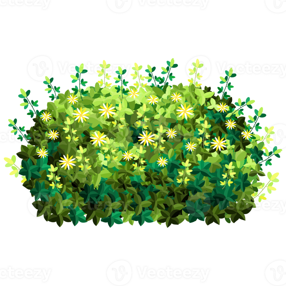 Green bush and tree for landscape and architecture drawing, elements for environment and garden,botanical elements for section in spring. png
