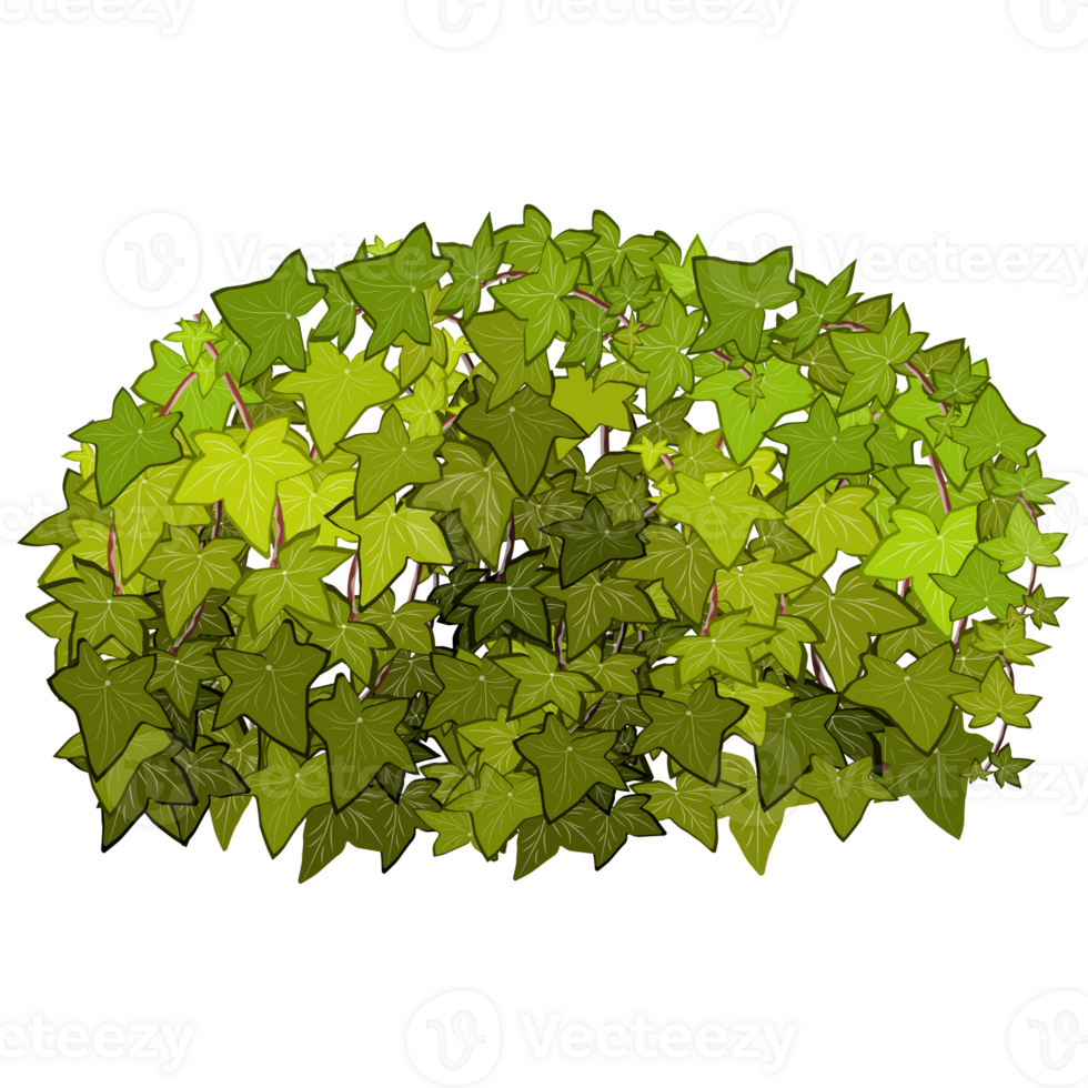 Green bush and tree for landscape and architecture drawing, elements for environment and garden,botanical elements for section in spring. png