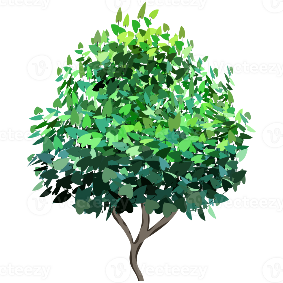 Green bush and tree for landscape and architecture drawing, elements for environment and garden,botanical elements for section in spring. png
