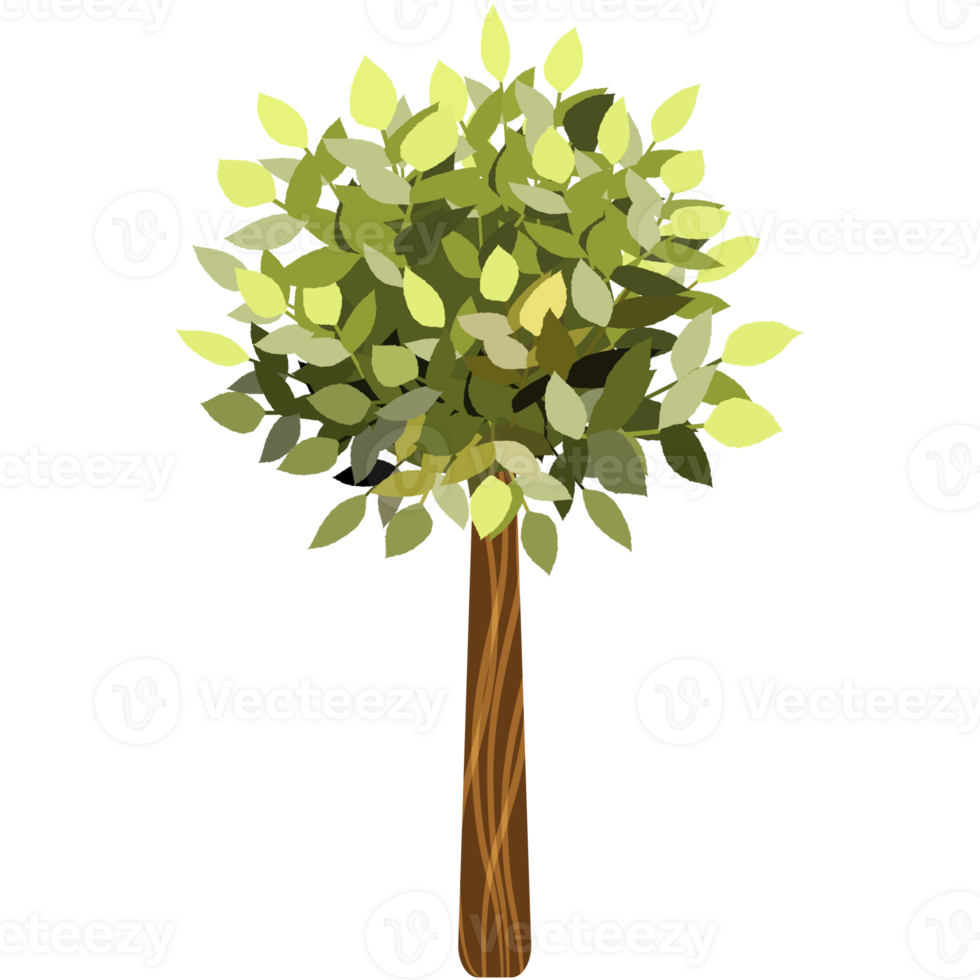 Green bush and tree for landscape and architecture drawing, elements for environment and garden,botanical elements for section in spring. png