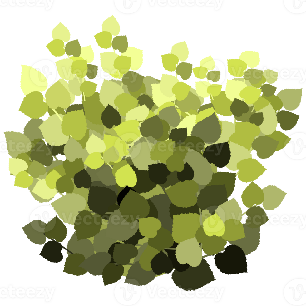 Green bush and tree for landscape and architecture drawing, elements for environment and garden,botanical elements for section in spring. png