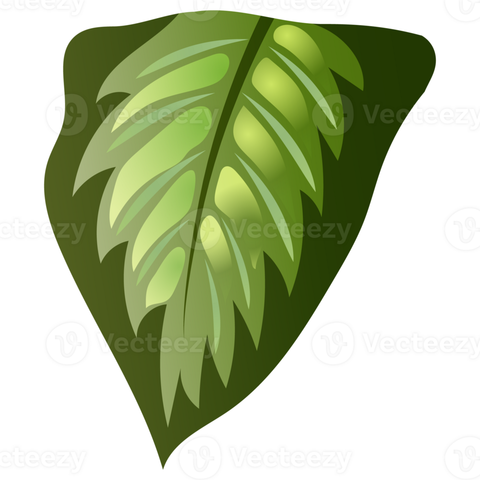 Green bush and tree for landscape and architecture drawing, elements for environment and garden,botanical elements for section in spring. png