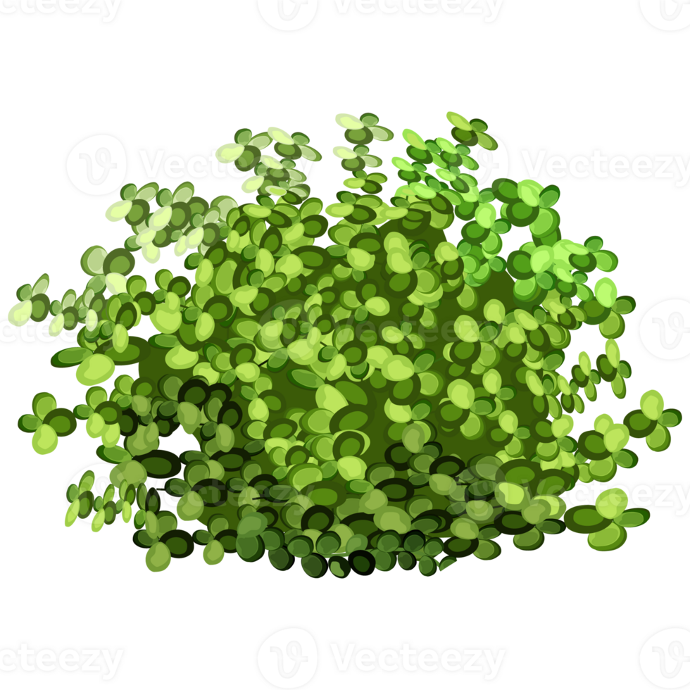 Green bush and tree for landscape and architecture drawing, elements for environment and garden,botanical elements for section in spring. png