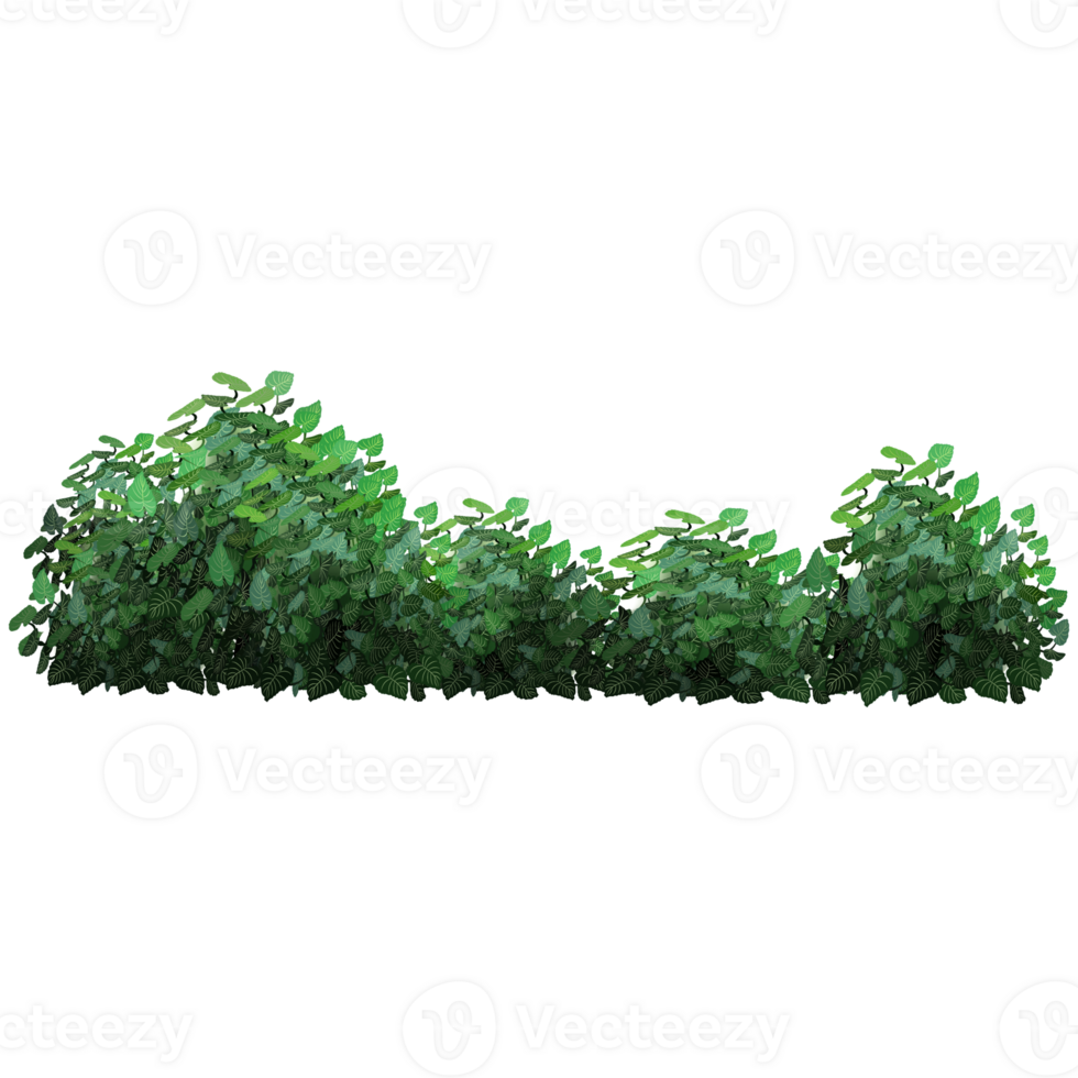 Green bush and tree for landscape and architecture drawing, elements for environment and garden,botanical elements for section in spring. png