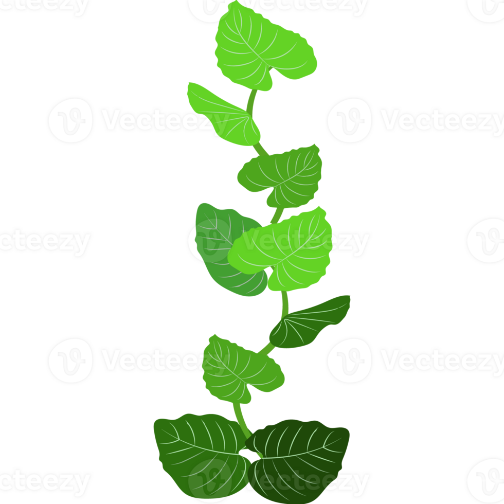 Green bush and tree for landscape and architecture drawing, elements for environment and garden,botanical elements for section in spring. png