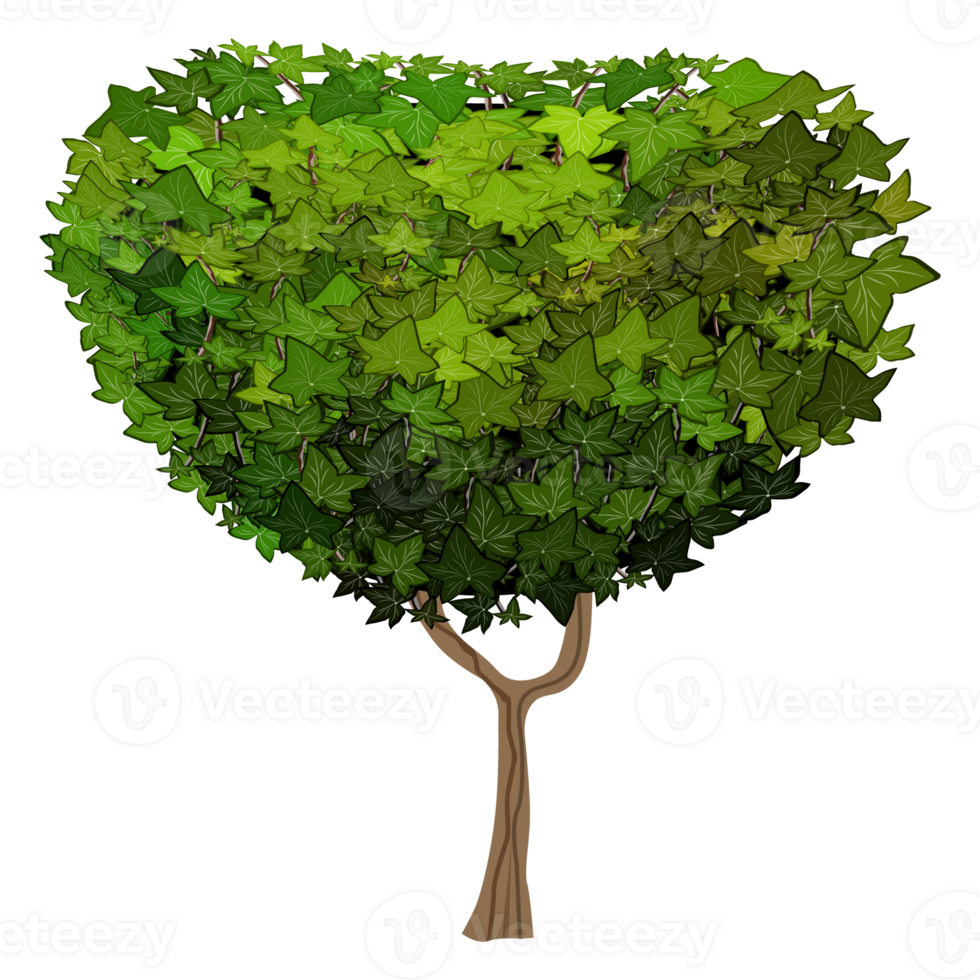 Green bush and tree for landscape and architecture drawing, elements for environment and garden,botanical elements for section in spring. png